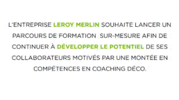 Leroy Merlin — le contexte du projet