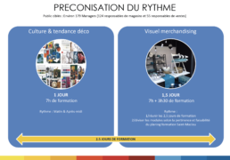 Saint Maclou — préconisation du rythme