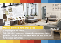Saint Maclou — module culture et tendance déco